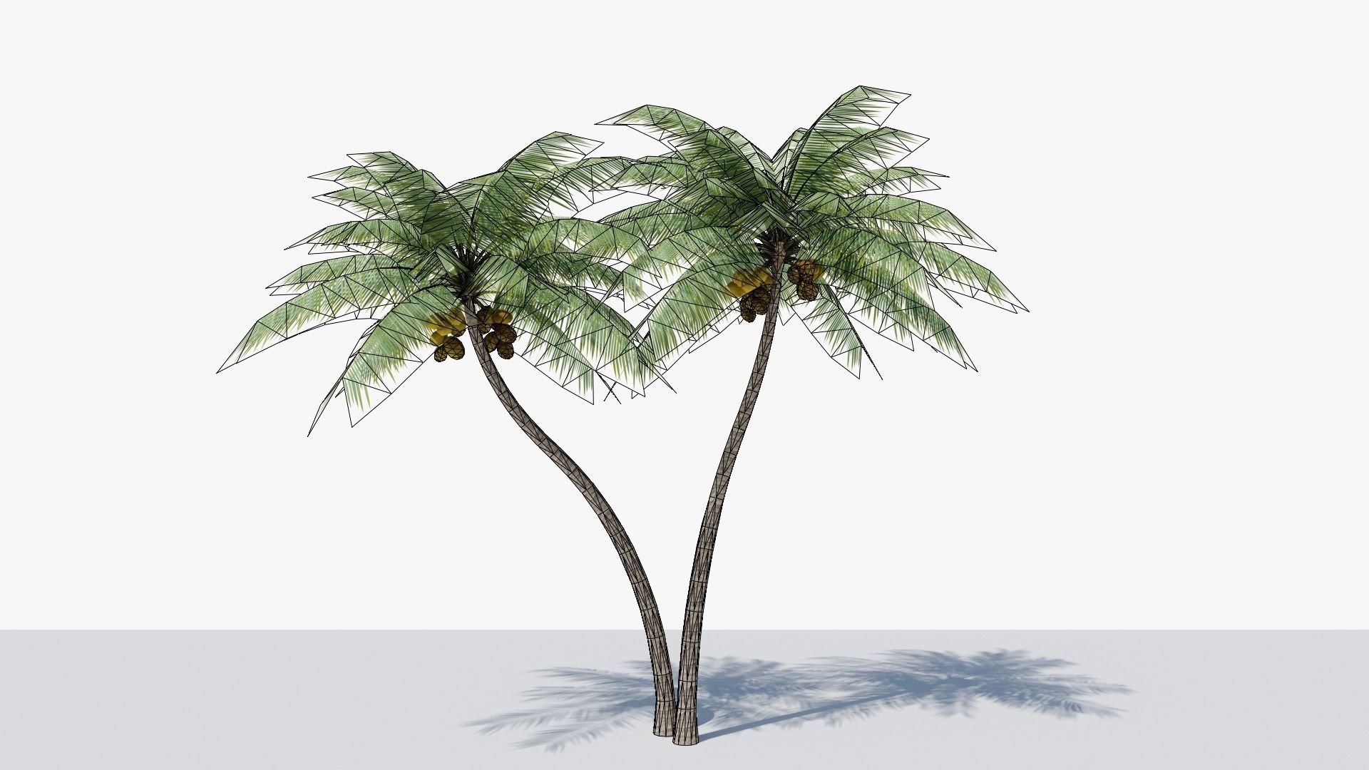 Lowpoly Coconut Palm v5 Low-poly 3D model_10