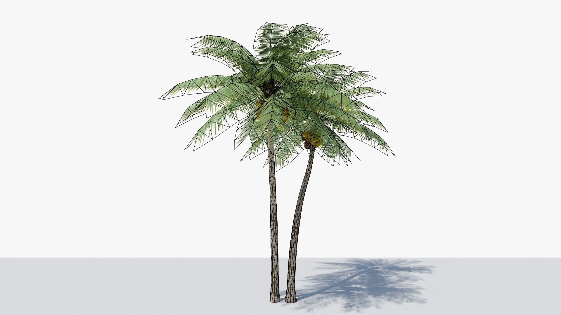 Lowpoly Coconut Palm v5 Low-poly 3D model_4