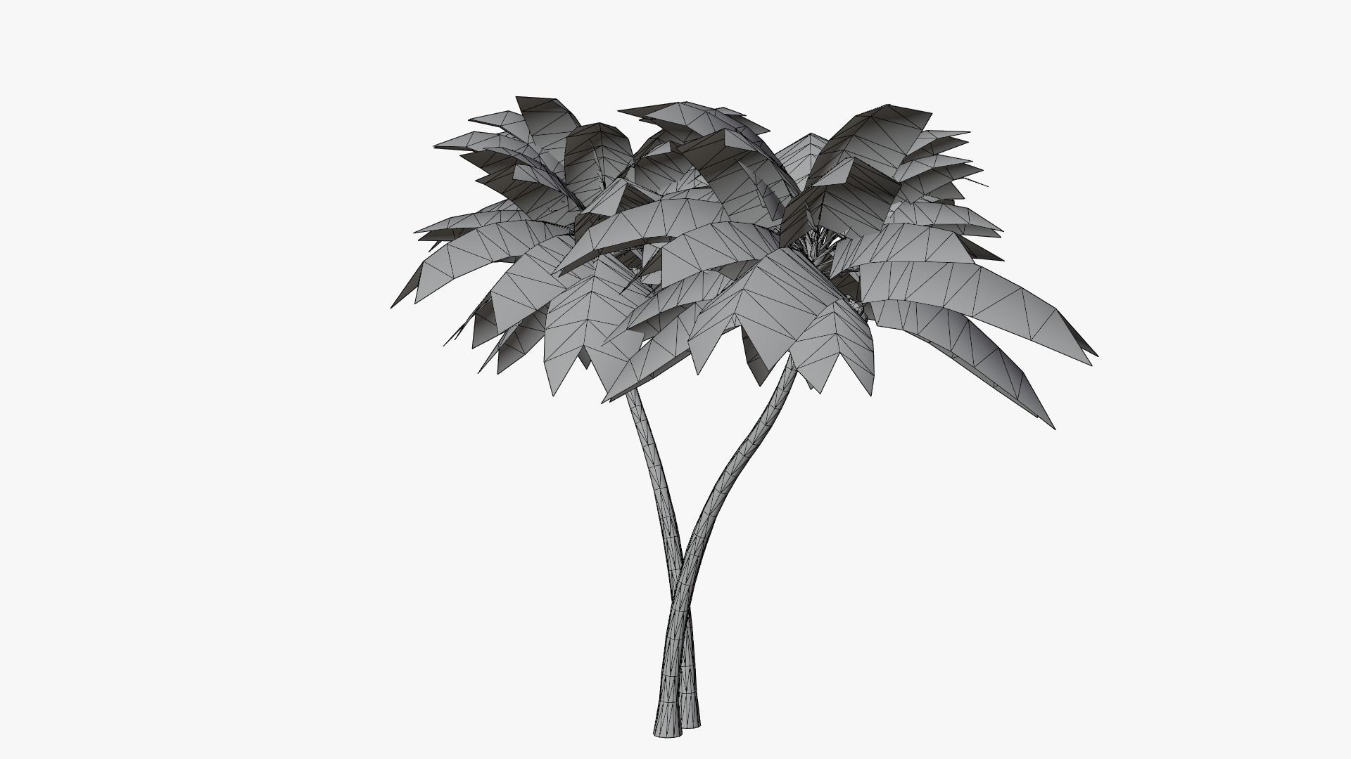 Lowpoly Coconut Palm v5 Low-poly 3D model_17