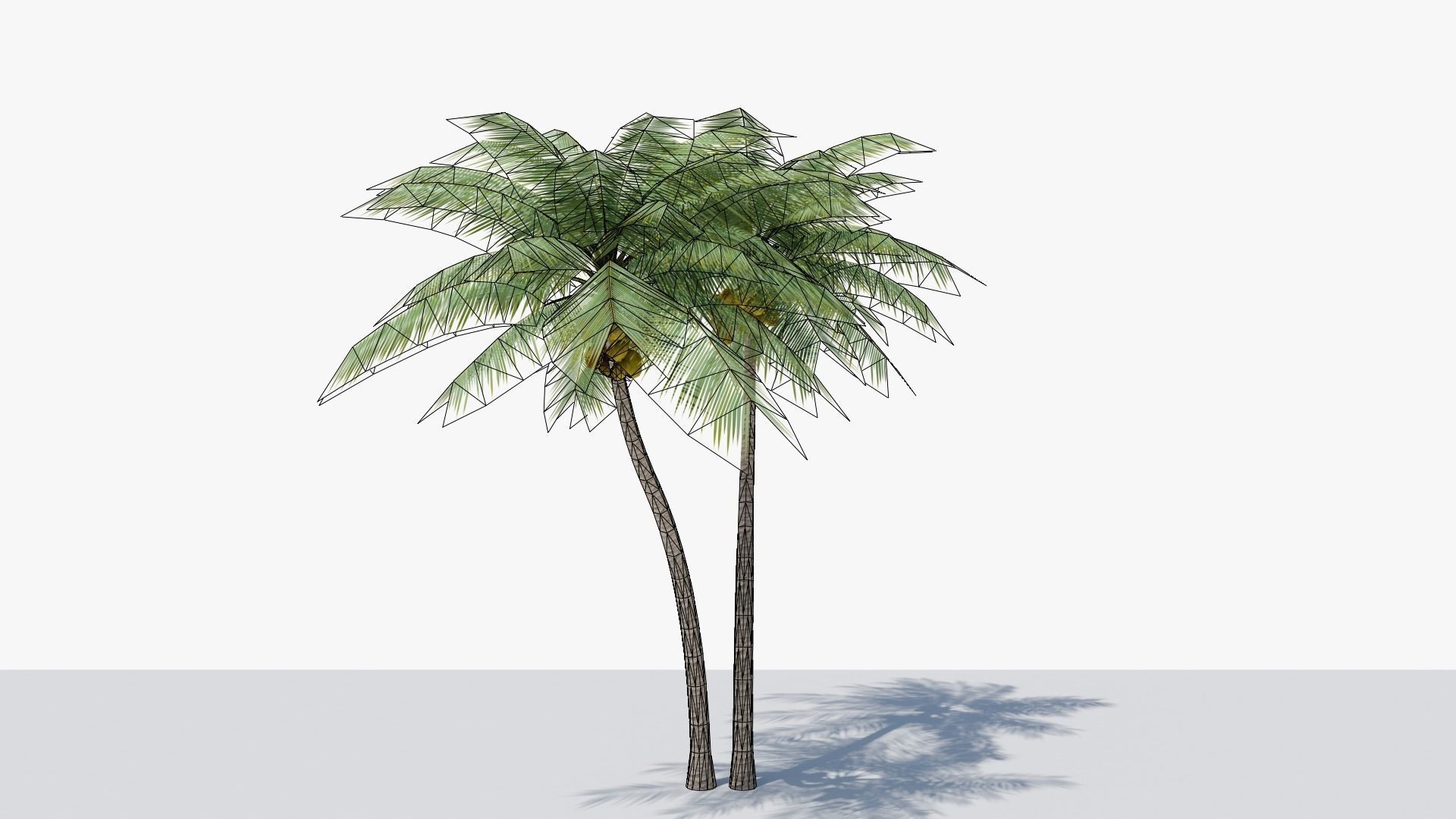 Lowpoly Coconut Palm v5 Low-poly 3D model_13