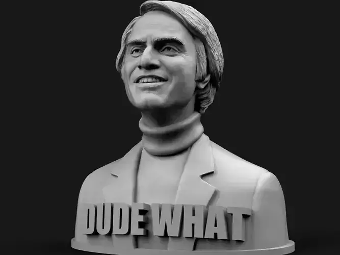 Carl Sagan - Dude What 3D print model
