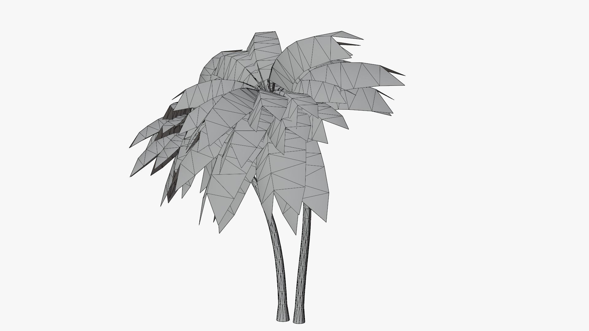 Lowpoly Coconut Palm v6 Low-poly 3D model_14