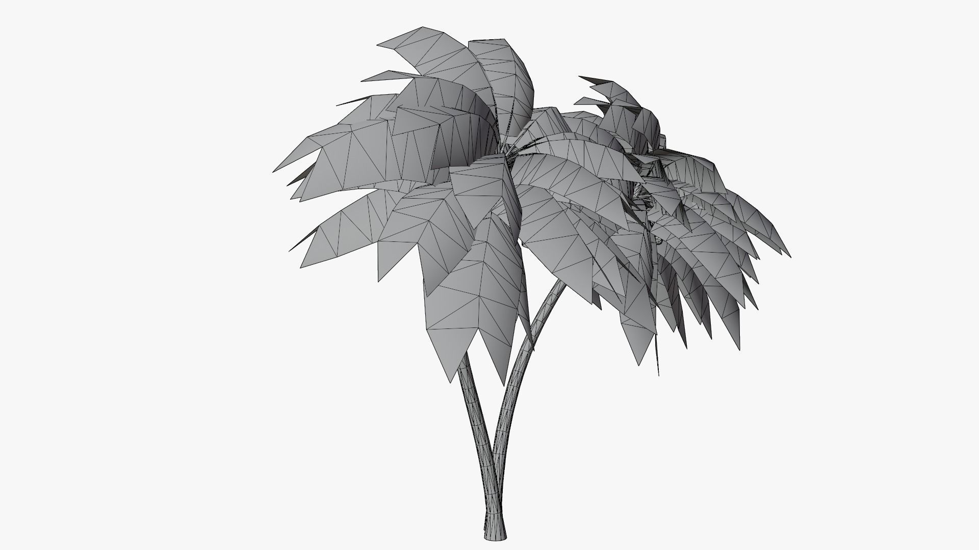 Lowpoly Coconut Palm v6 Low-poly 3D model_8