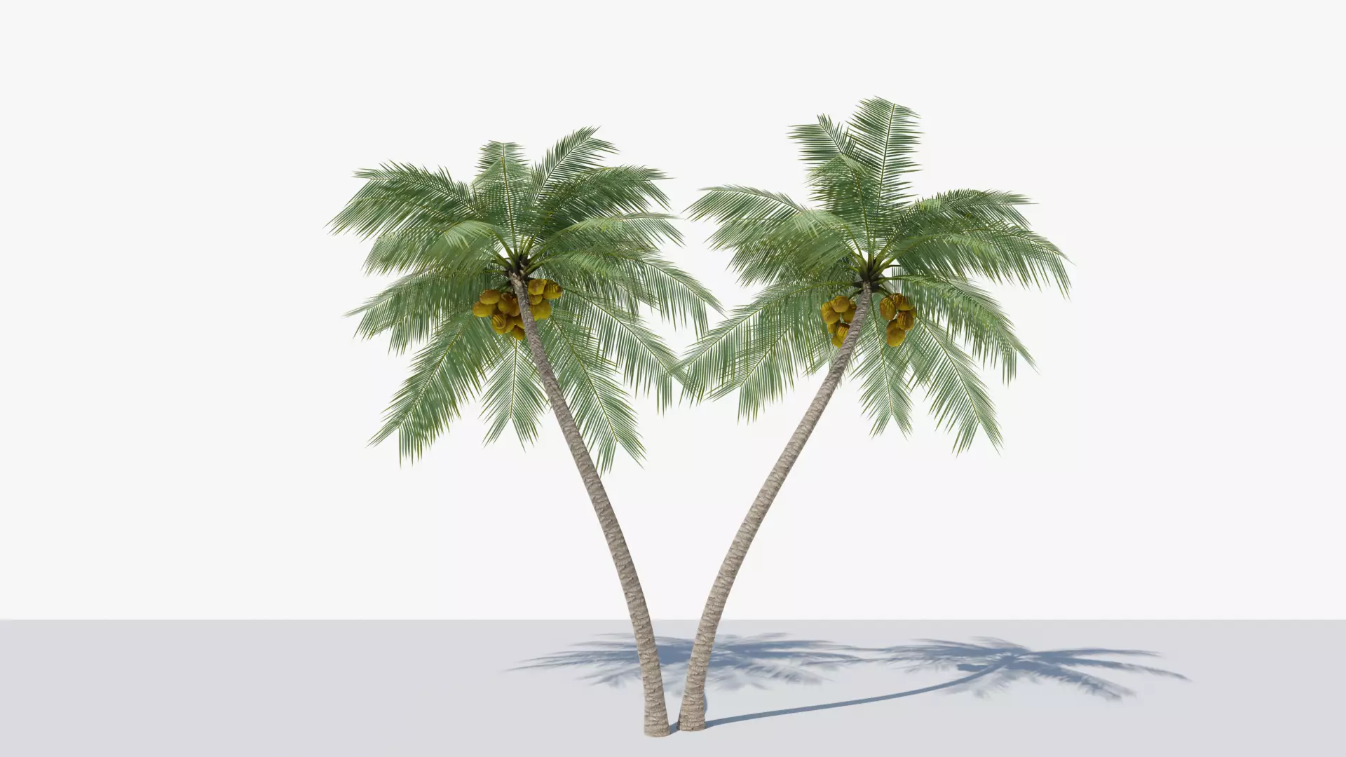 Lowpoly Coconut Palm v6 Low-poly 3D model_0