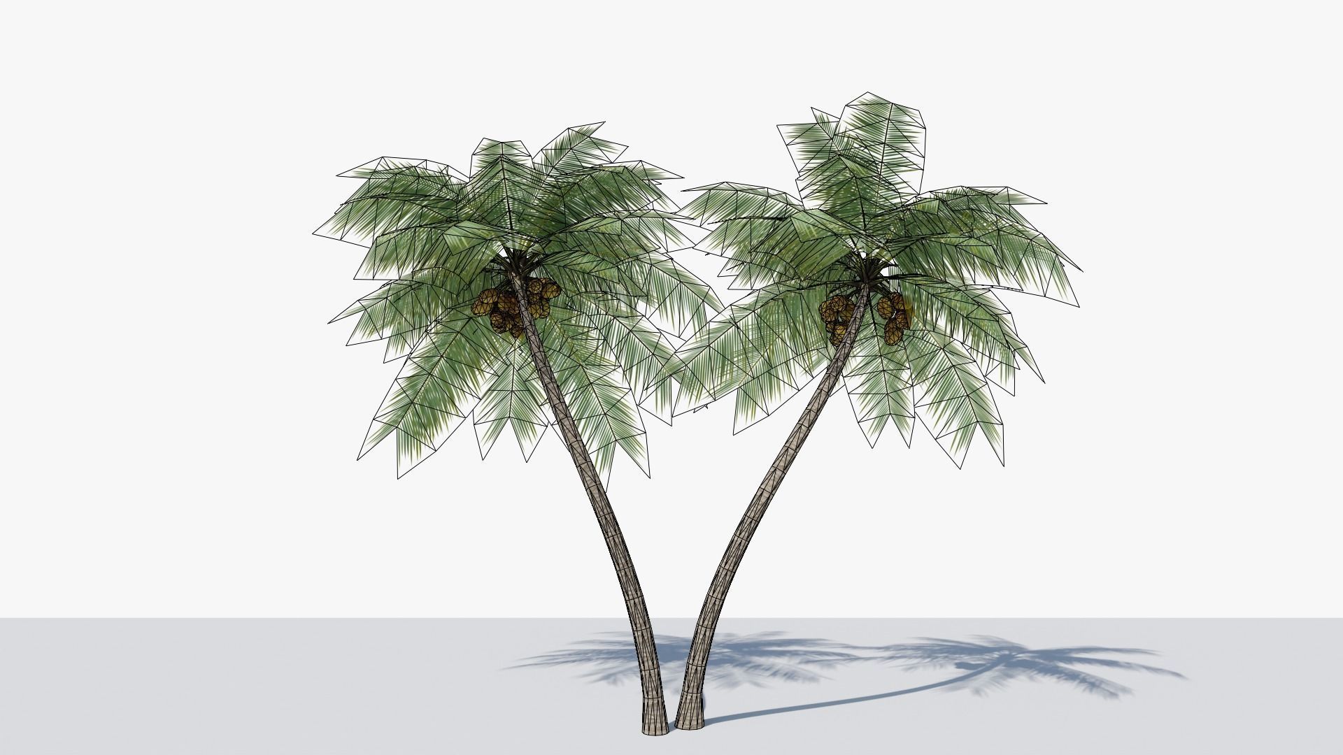 Lowpoly Coconut Palm v6 Low-poly 3D model_1