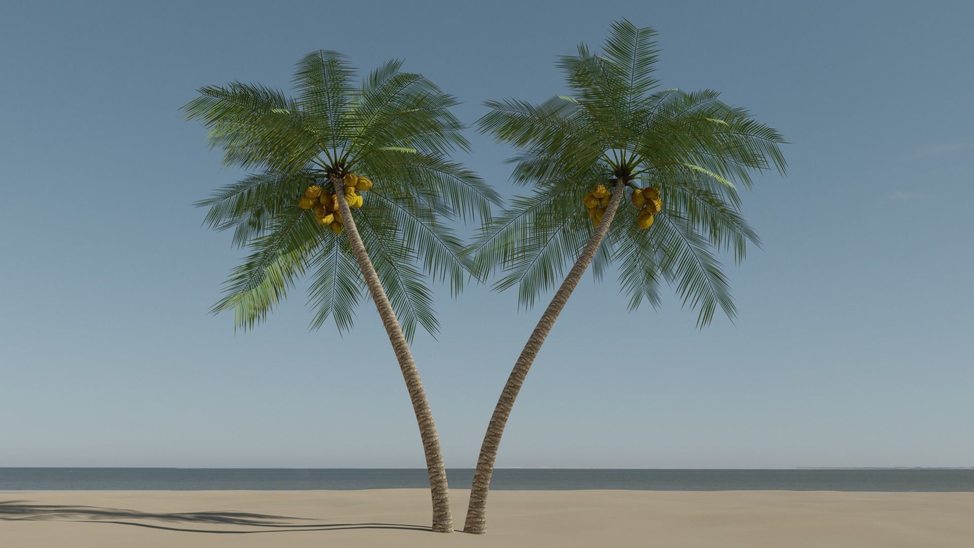 Lowpoly Coconut Palm v6 Low-poly 3D model_18