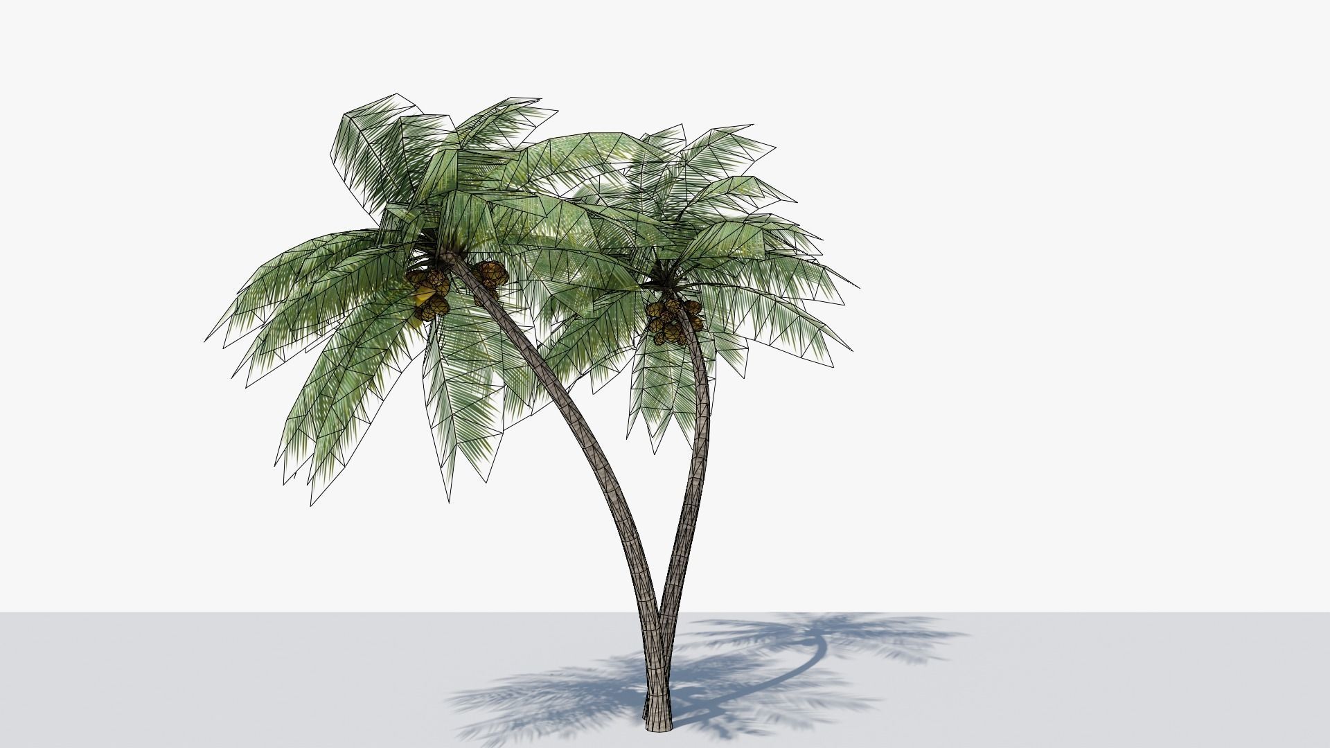 Lowpoly Coconut Palm v6 Low-poly 3D model_16