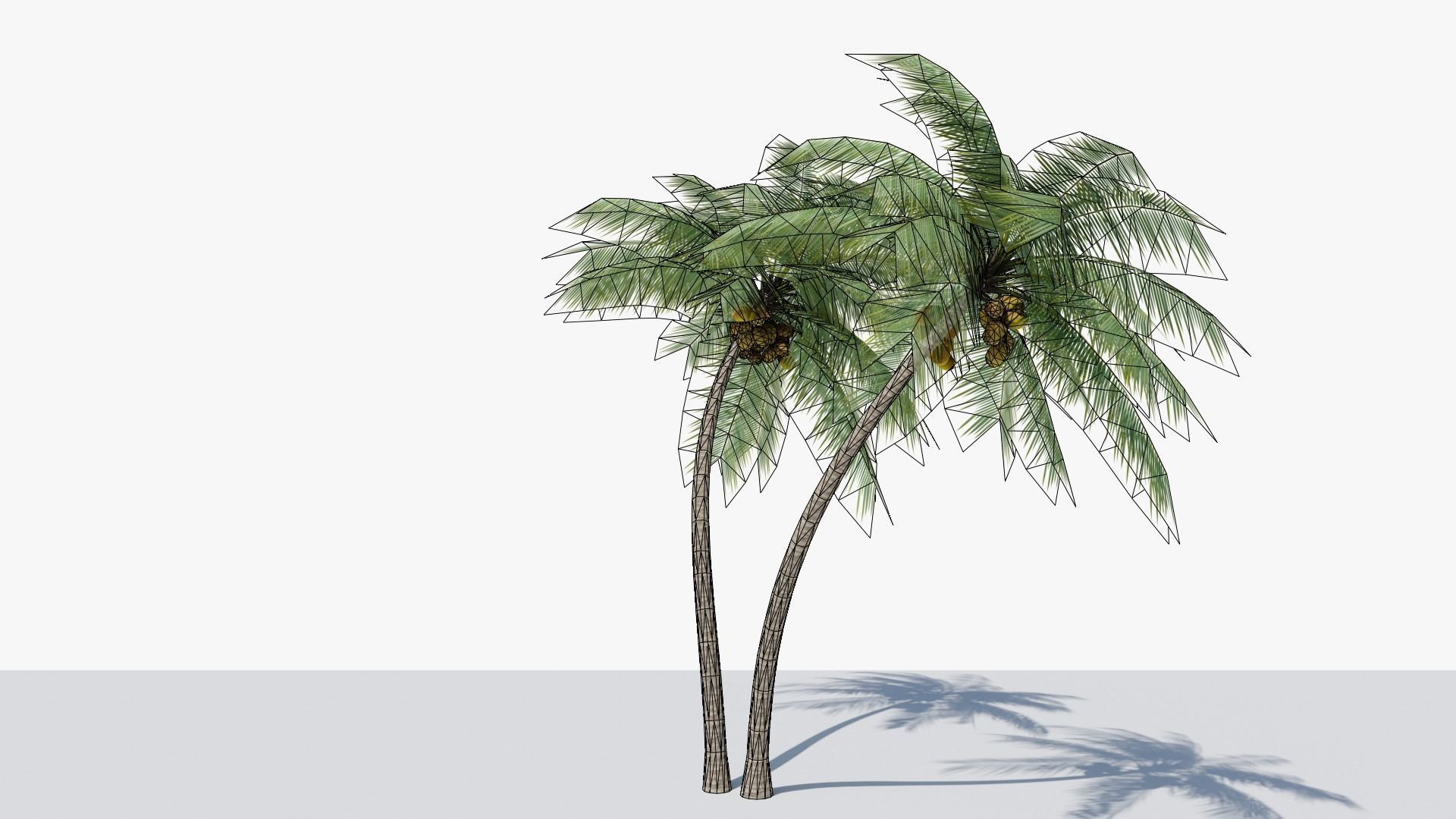 Lowpoly Coconut Palm v6 Low-poly 3D model_4