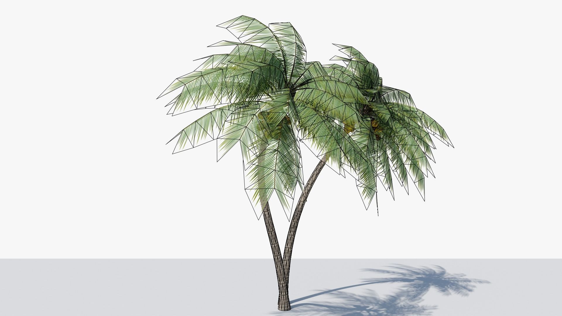 Lowpoly Coconut Palm v6 Low-poly 3D model_7