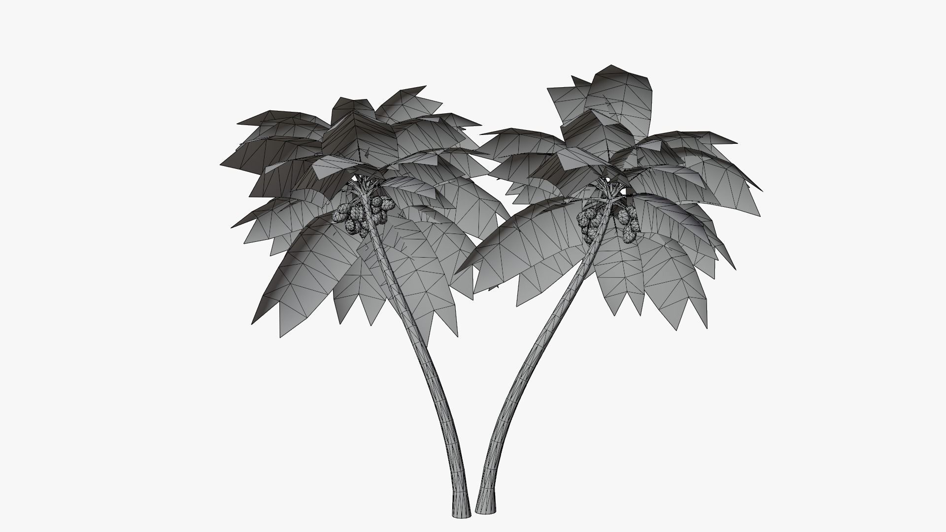 Lowpoly Coconut Palm v6 Low-poly 3D model_2