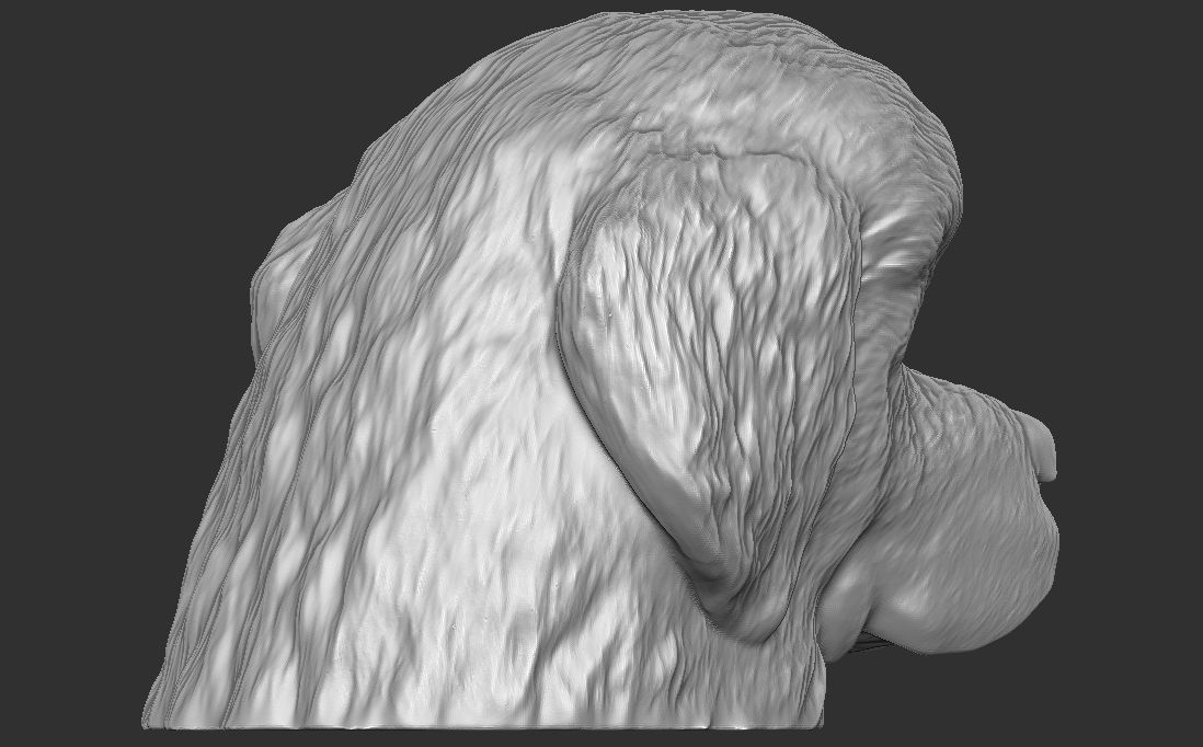 Puppy of Tibetan Mastiff dog head for 3D printing 3D model 3D printable ...