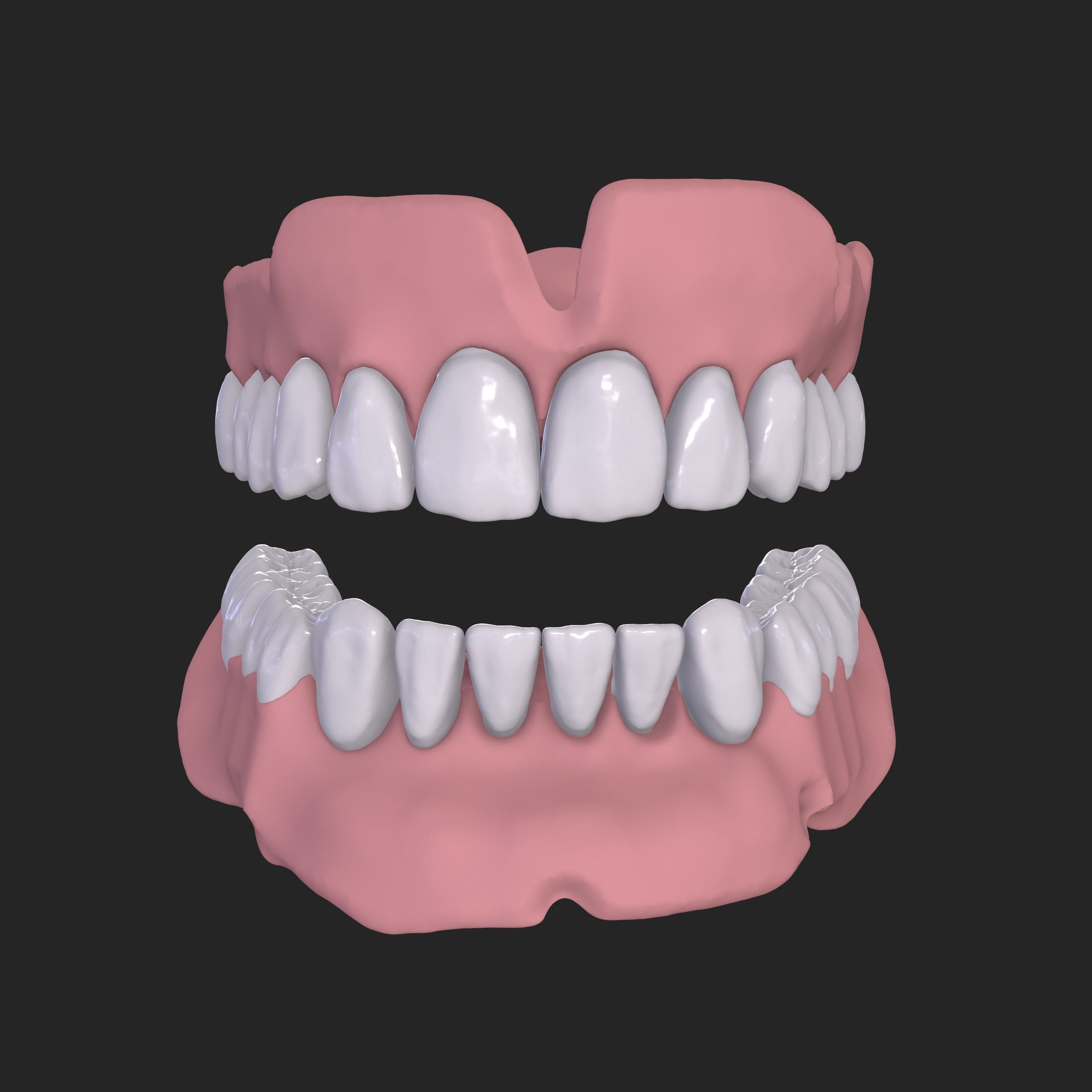 Dental Anatomy Mouth Model Real Scanned Medical Case 3D print model_5