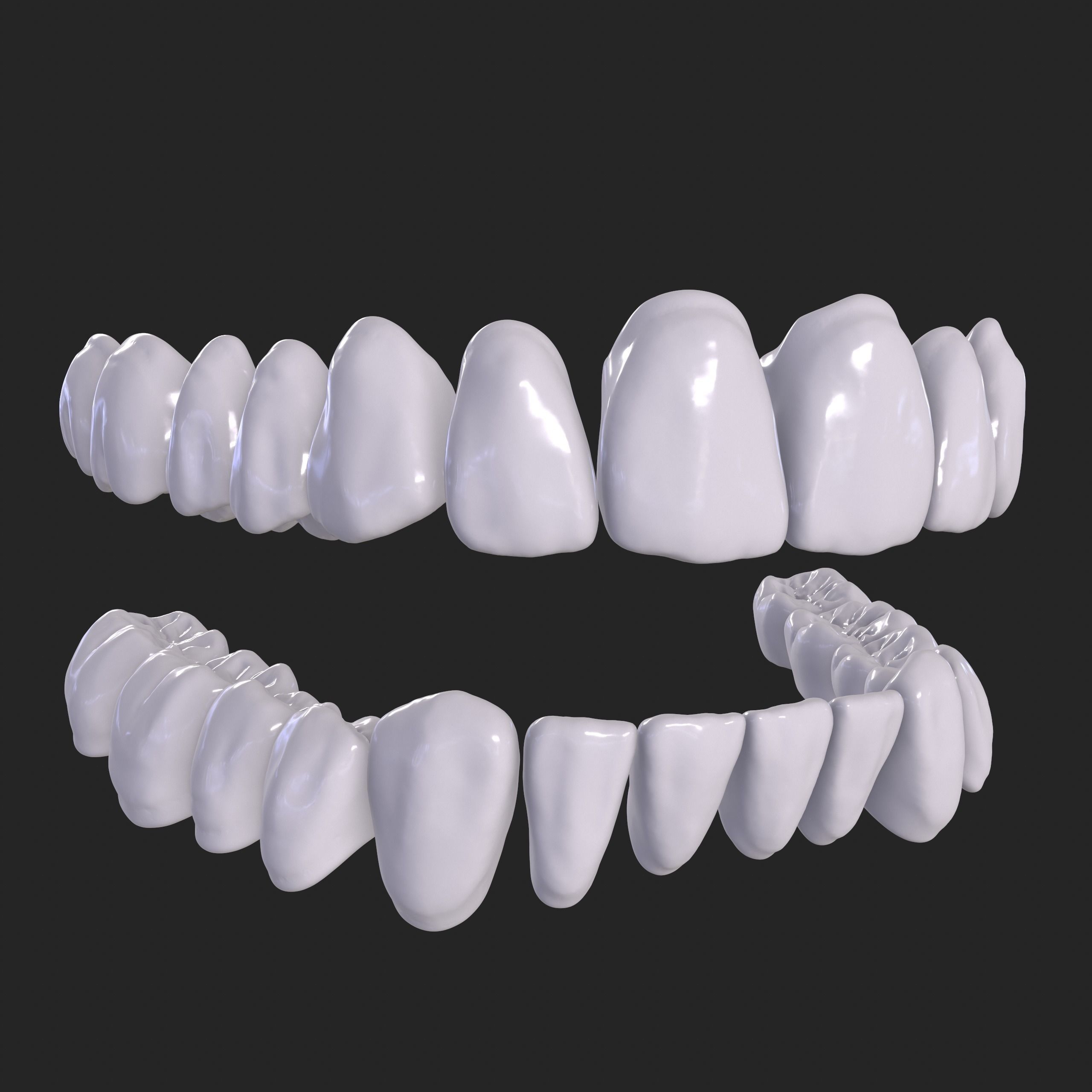 Dental Anatomy Mouth Model Real Scanned Medical Case 3D print model_14