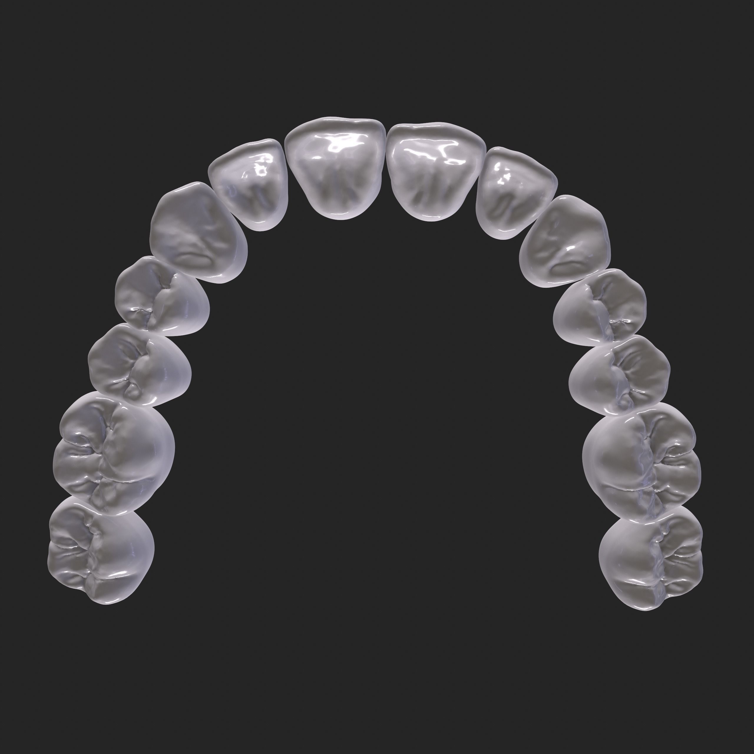 Dental Anatomy Mouth Model Real Scanned Medical Case 3D print model_13