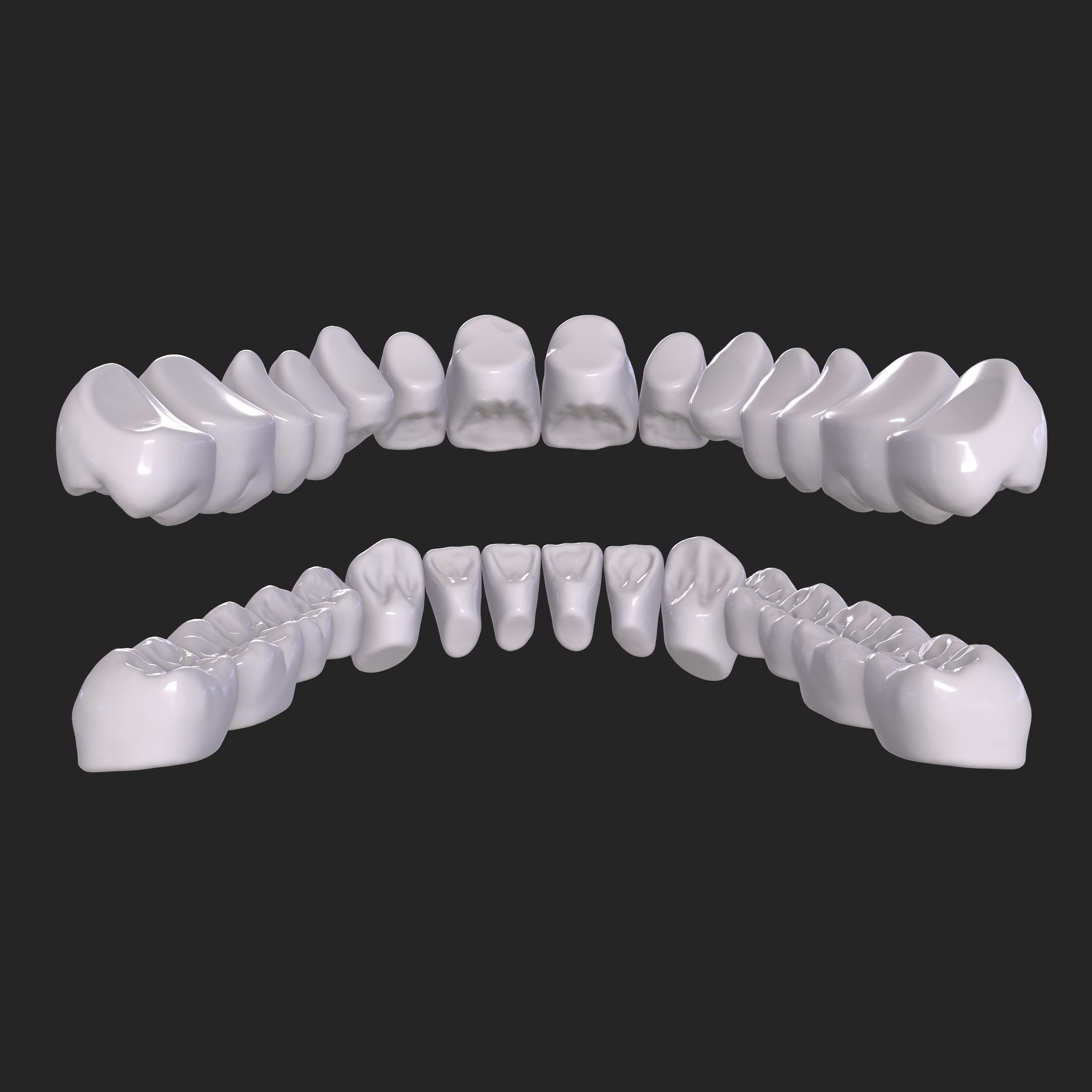 Dental Anatomy Mouth Model Real Scanned Medical Case 3D print model_12