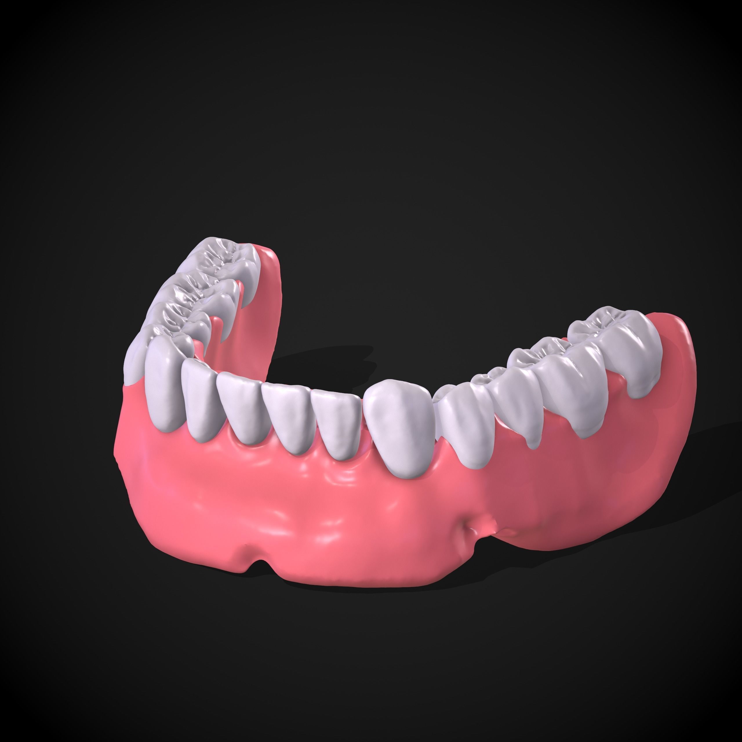 Dental Anatomy Mouth Model Real Scanned Medical Case 3D print model_3