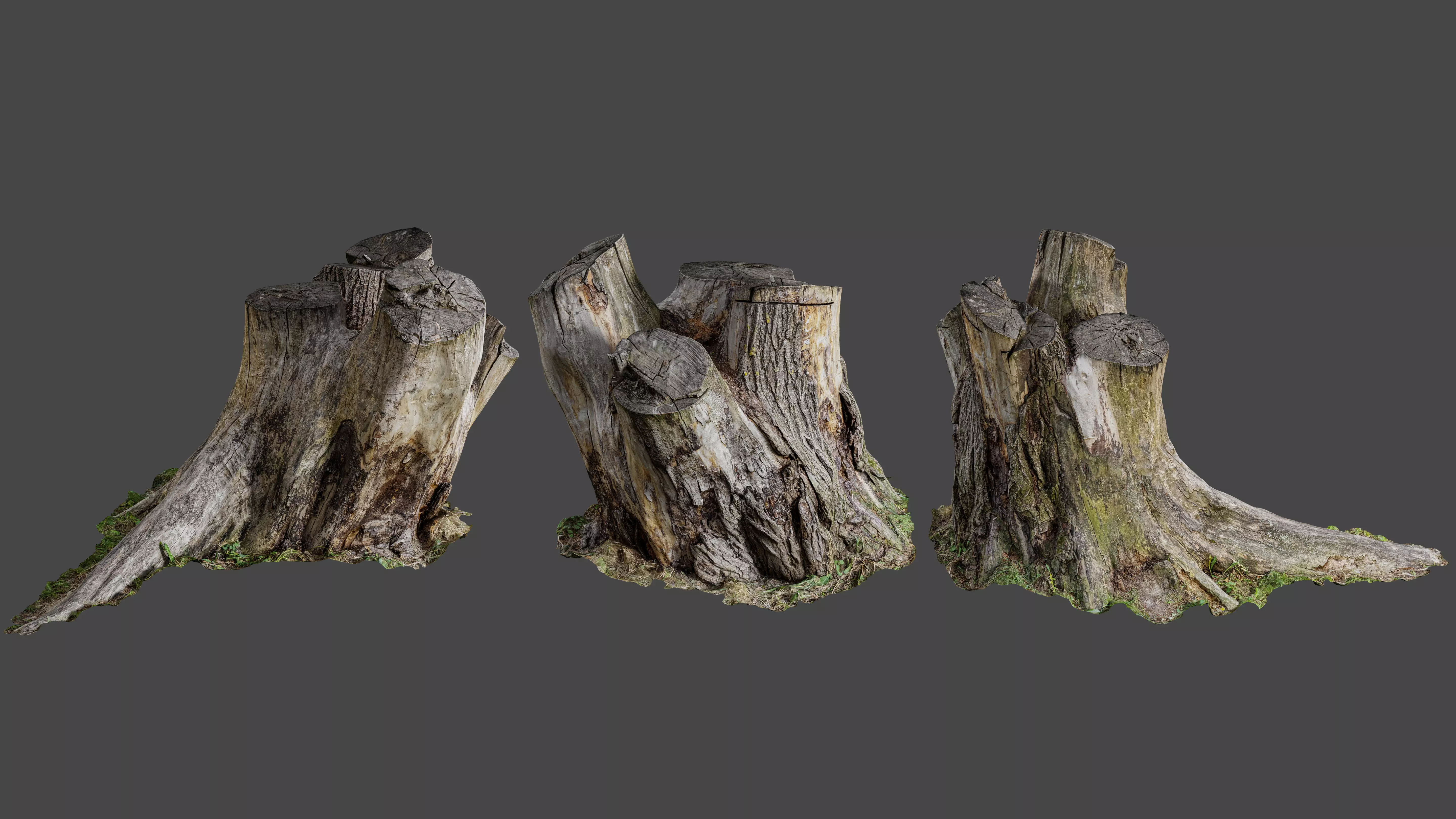 Tree stump Low-poly 3D model_0