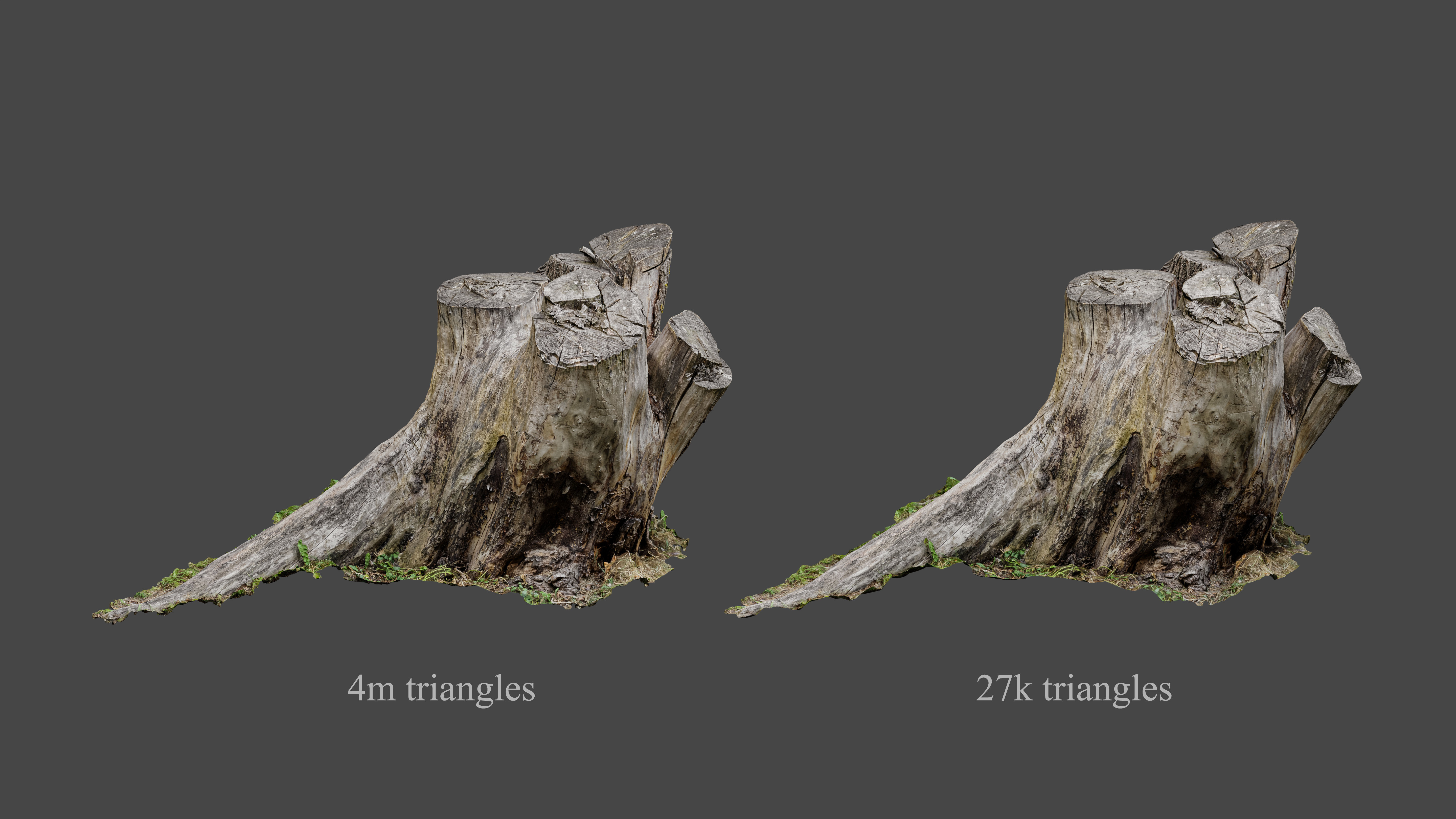 Tree stump Low-poly 3D model_4