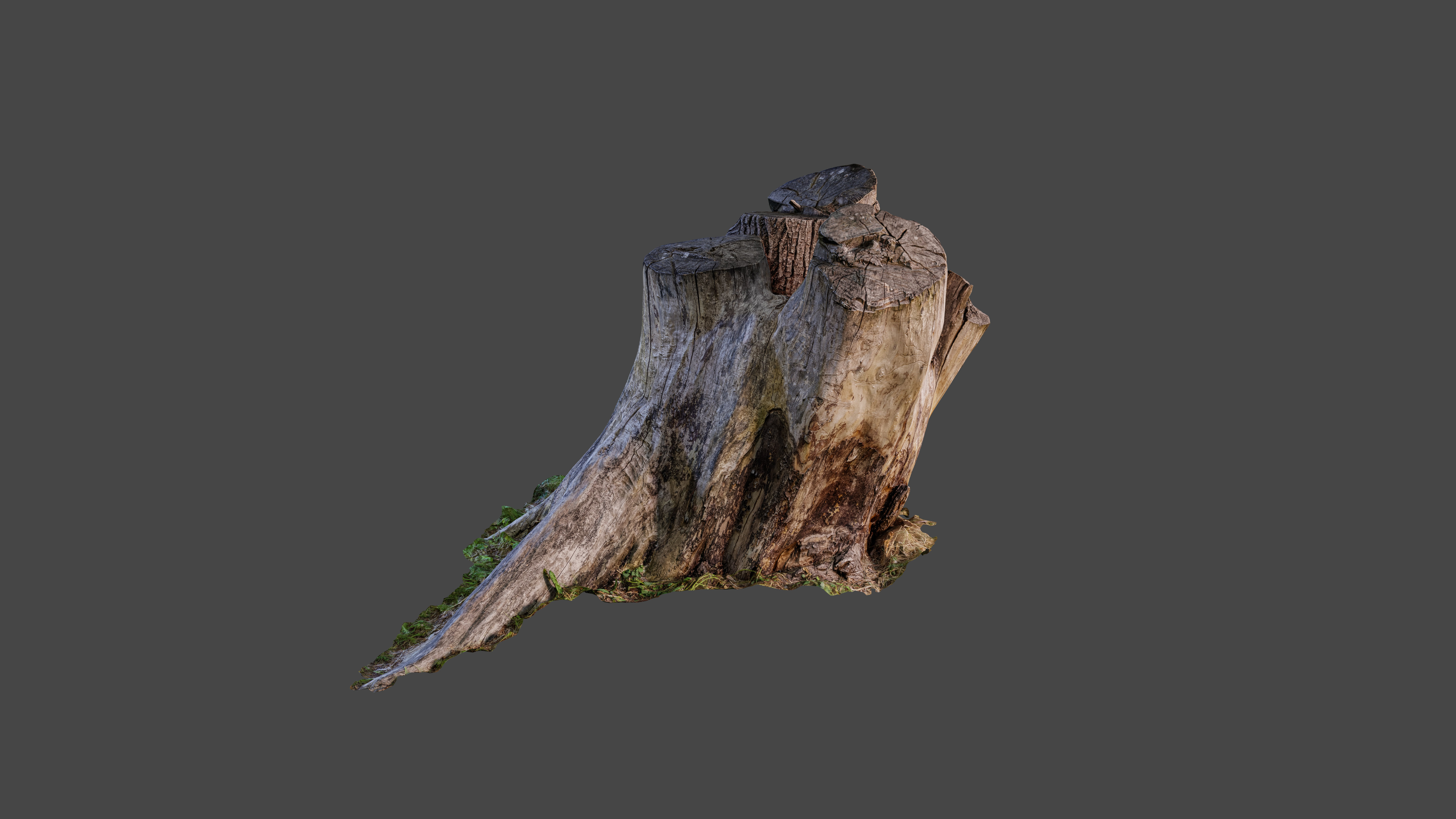 Tree stump Low-poly 3D model_1