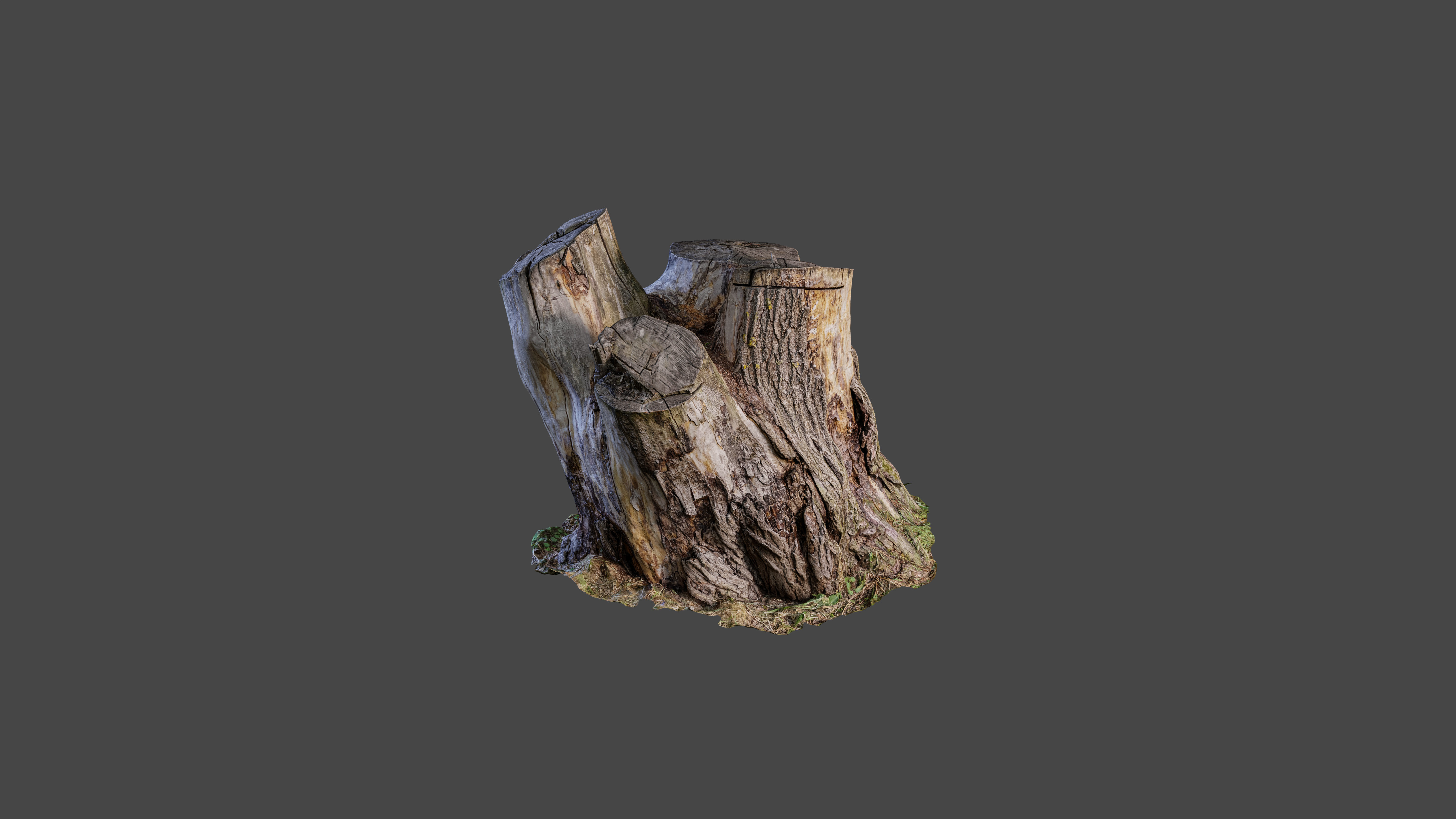 Tree stump Low-poly 3D model_3