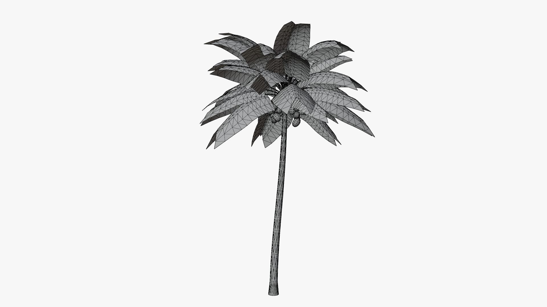 Coconut Palm v2 Low-poly 3D model_5