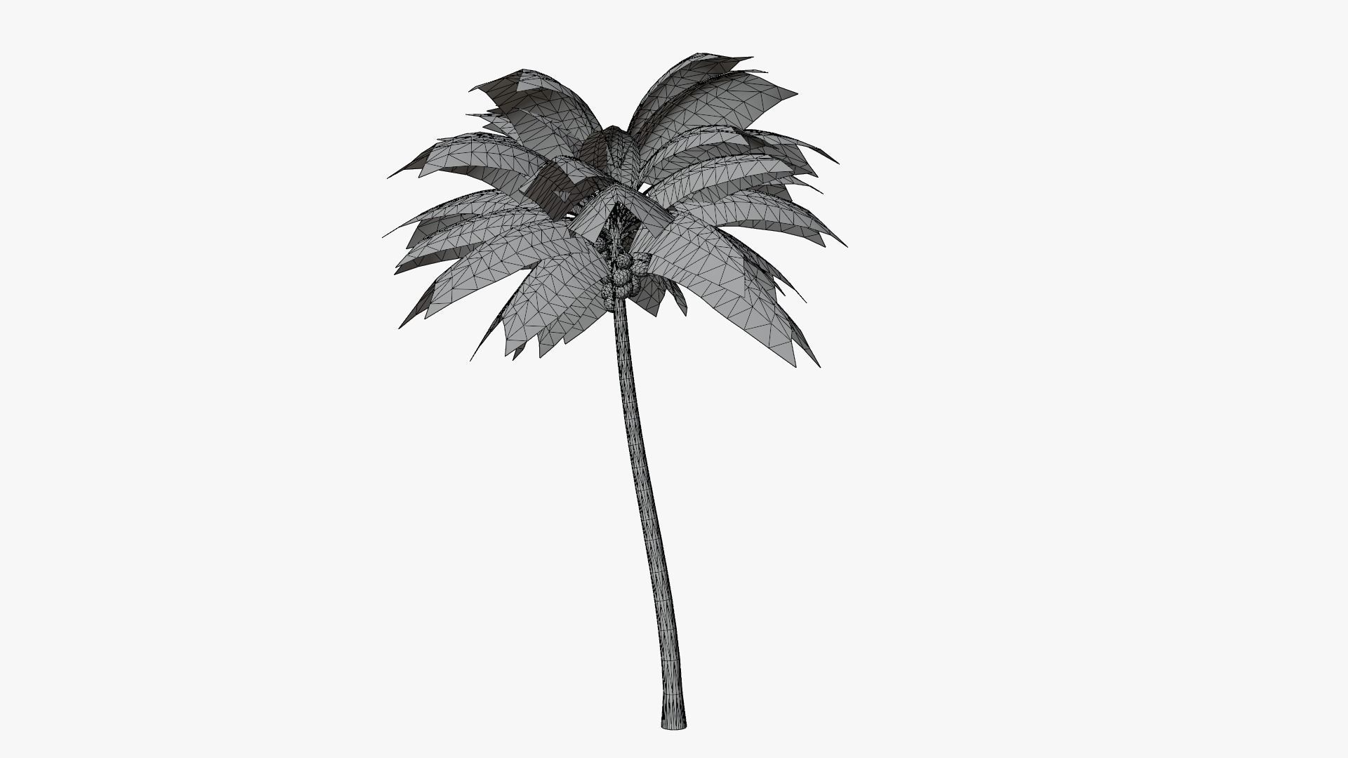 Coconut Palm v2 Low-poly 3D model_11