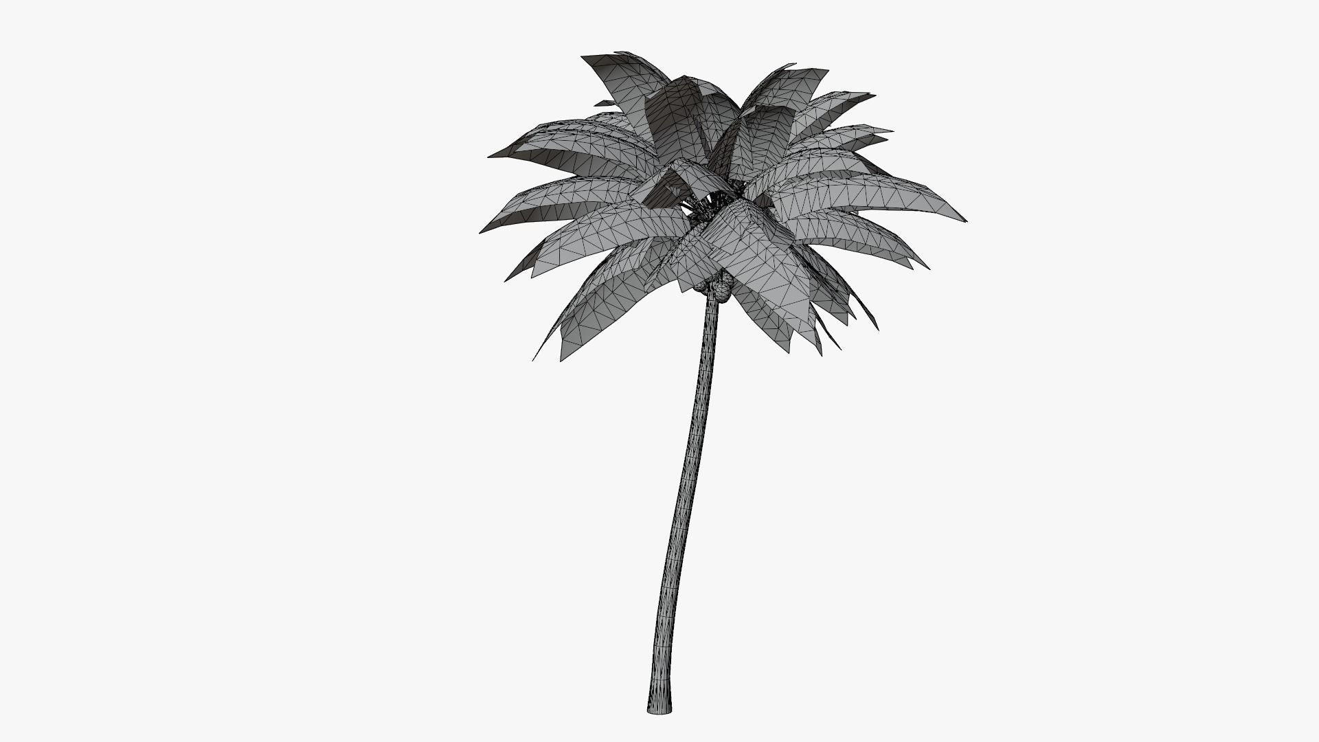 Coconut Palm v2 Low-poly 3D model_2