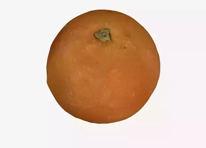 Orange 3D print model