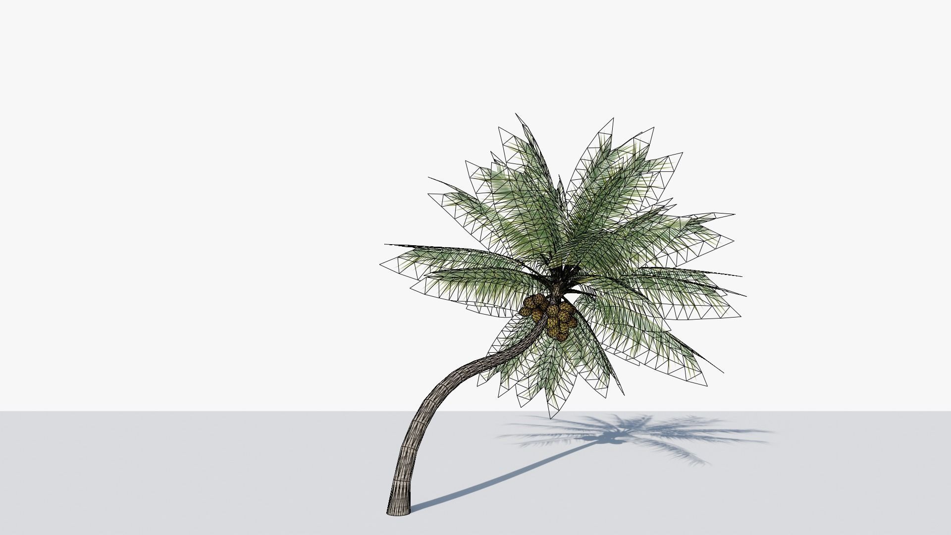 Coconut Palm v3 Low-poly 3D model_4