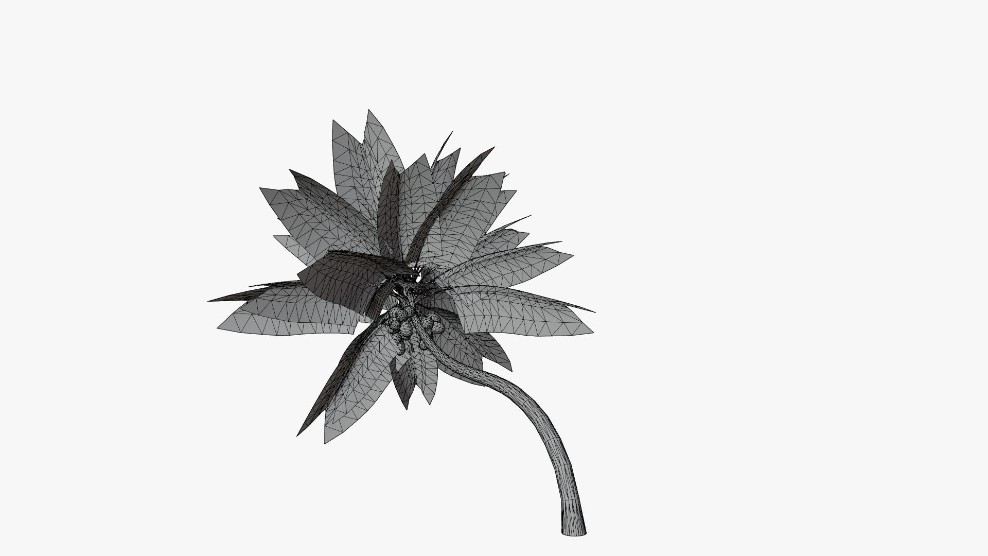 Coconut Palm v3 Low-poly 3D model_8