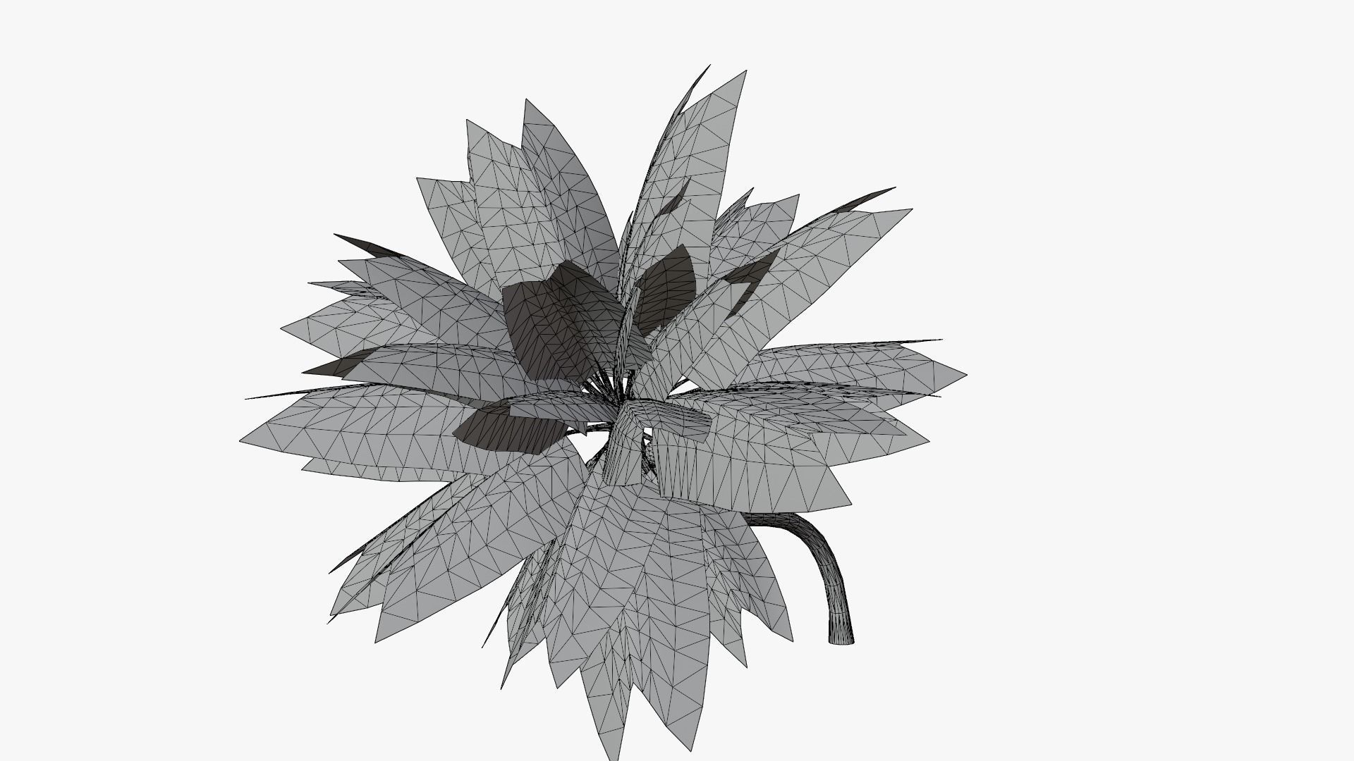 Coconut Palm v3 Low-poly 3D model_14