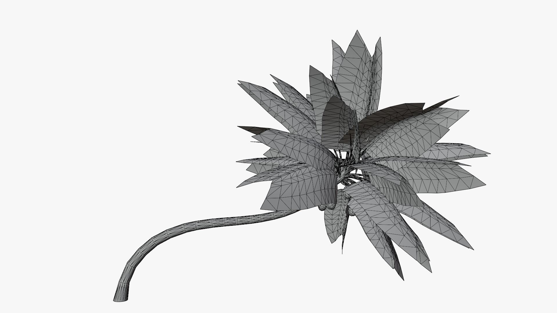 Coconut Palm v3 Low-poly 3D model_2