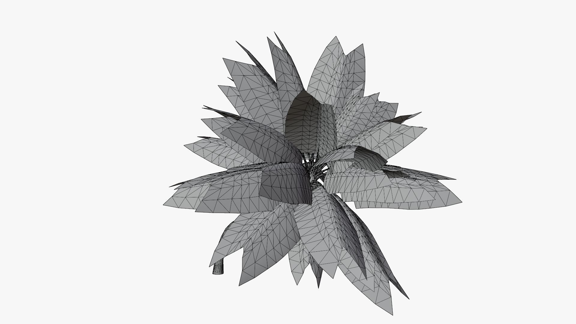 Coconut Palm v3 Low-poly 3D model_17