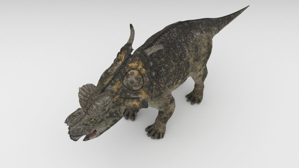 Achelousaurus 3D model_2