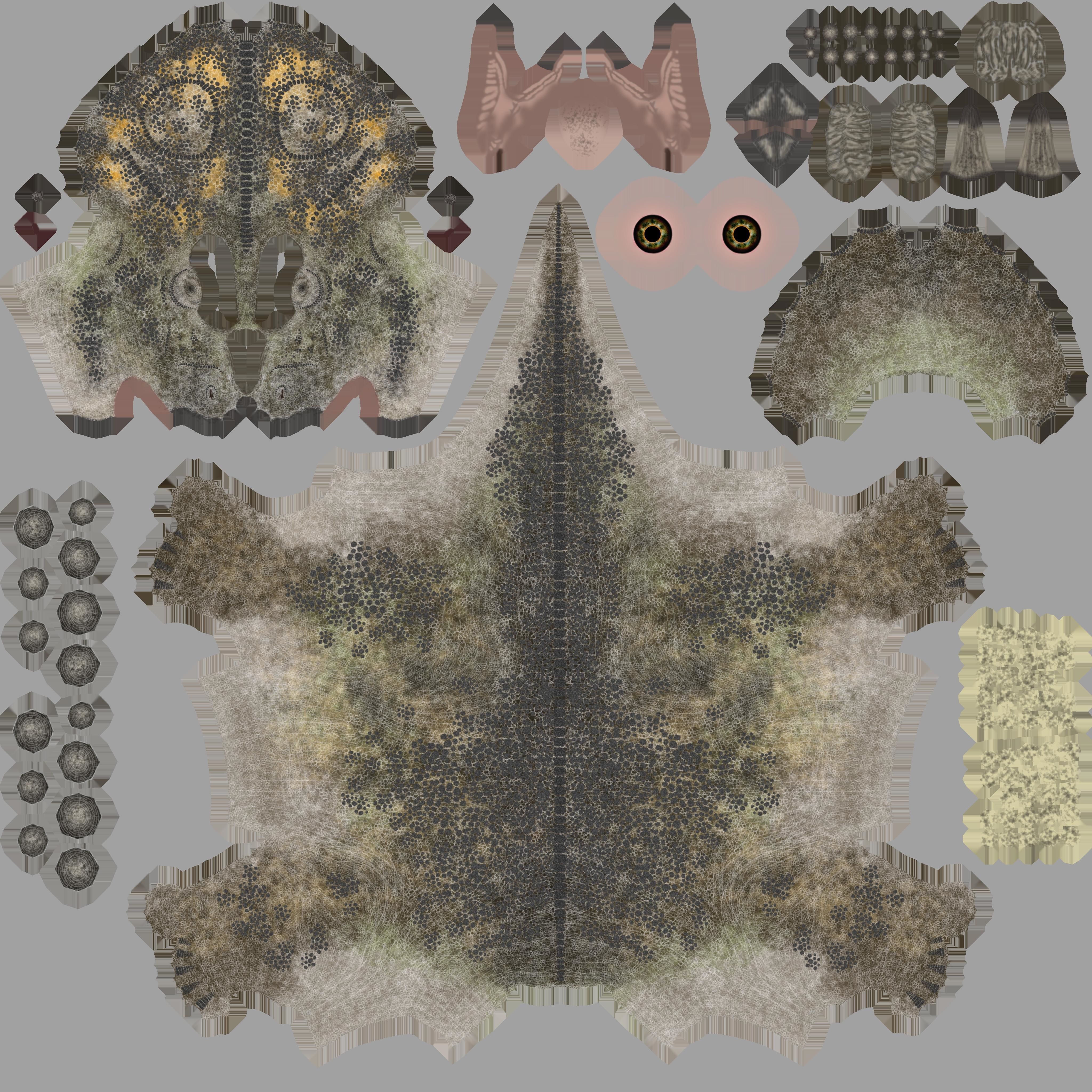 Achelousaurus 3D model_4