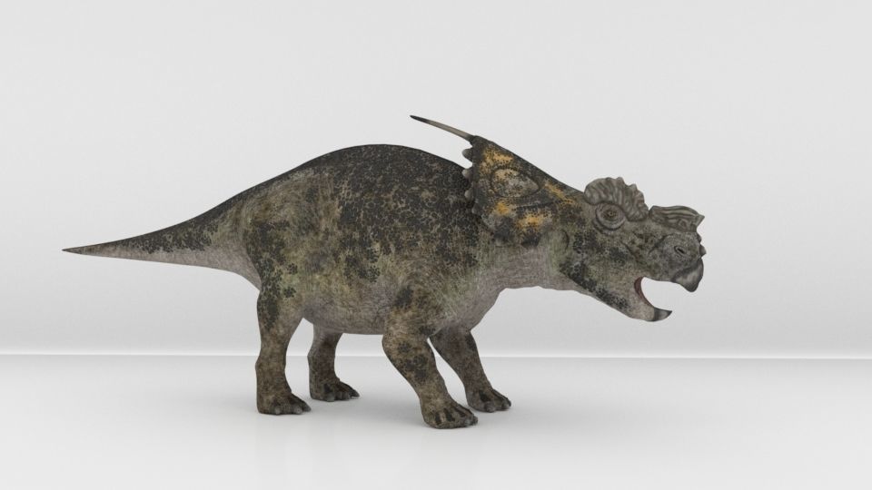 Achelousaurus 3D model_1