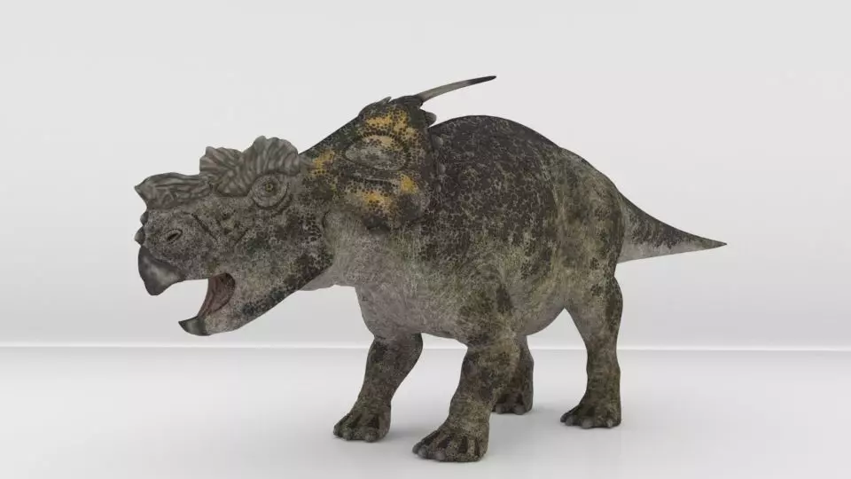 Achelousaurus 3D model_0