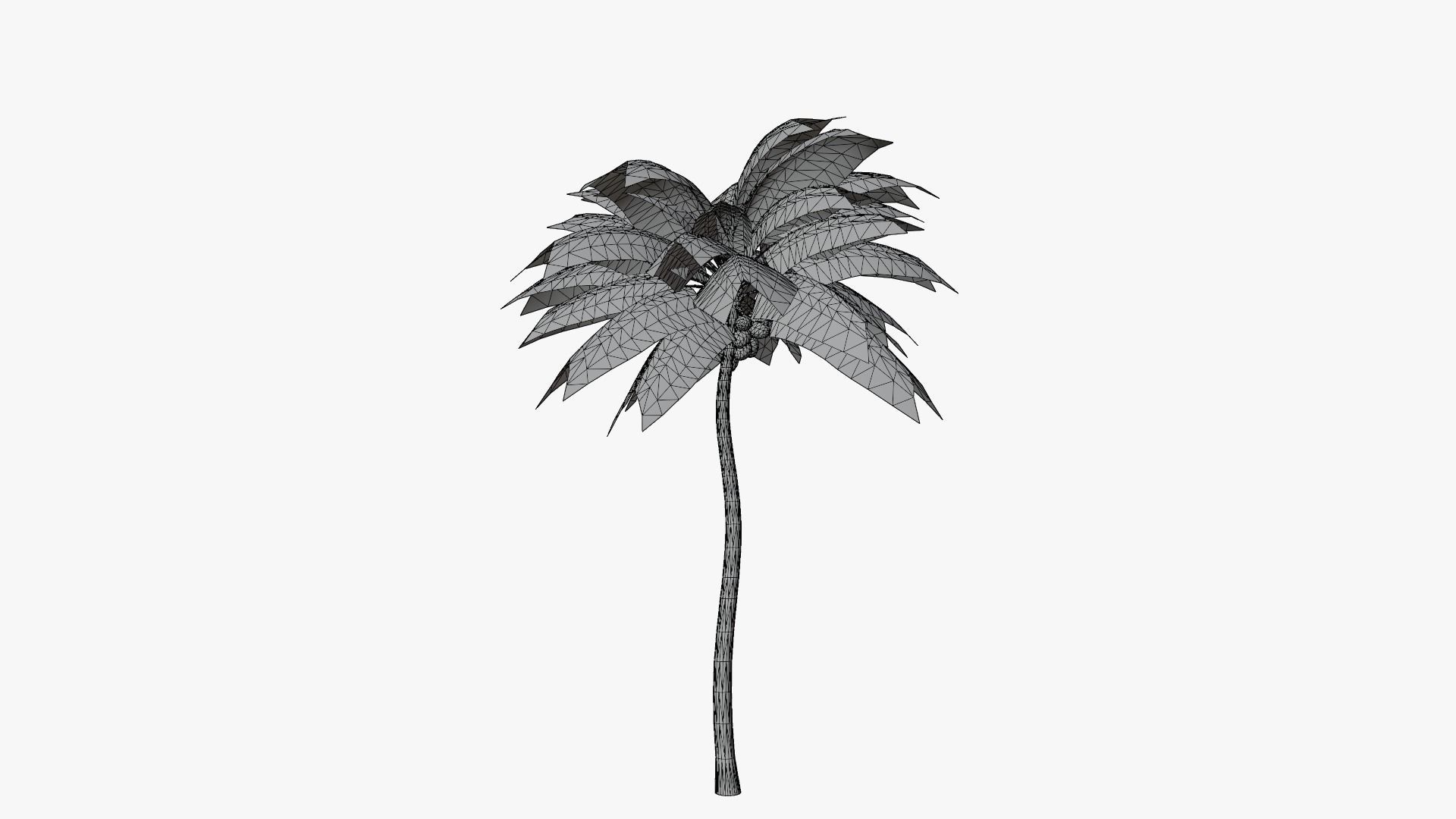 Coconut Palm v4 Low-poly 3D model_11