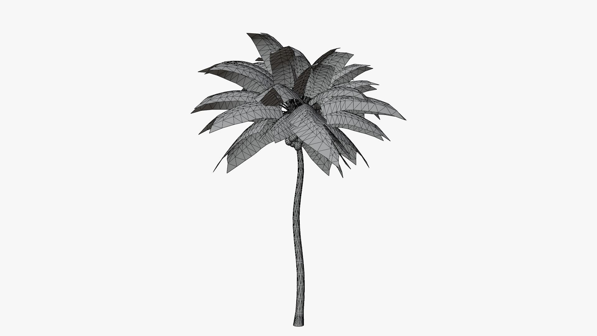 Coconut Palm v4 Low-poly 3D model_2