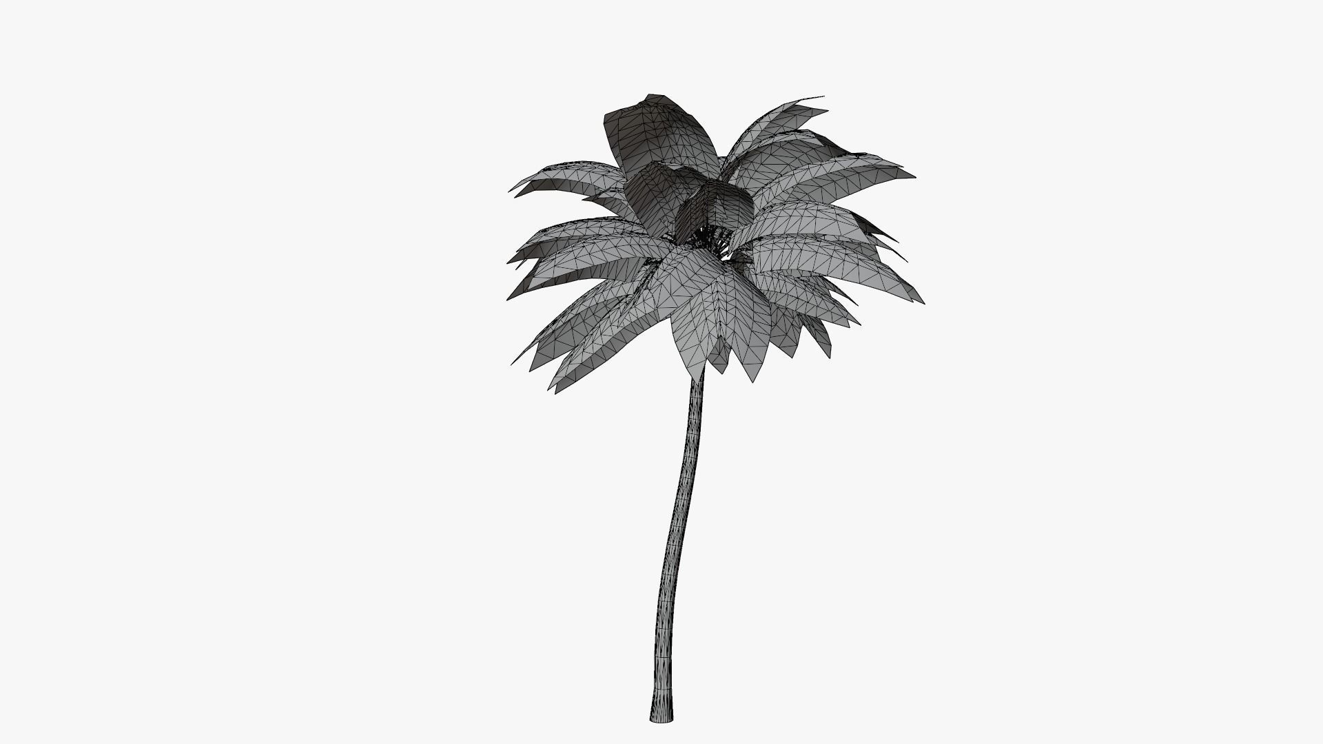 Coconut Palm v4 Low-poly 3D model_8