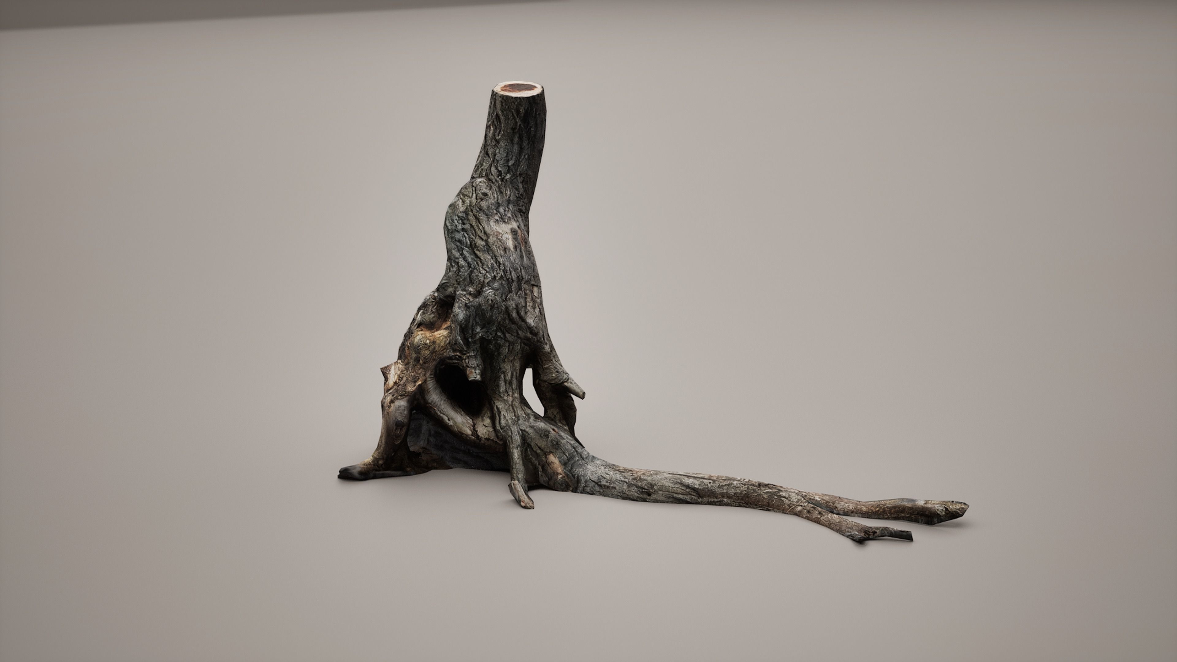 Low poly Tree Low-poly 3D model_4
