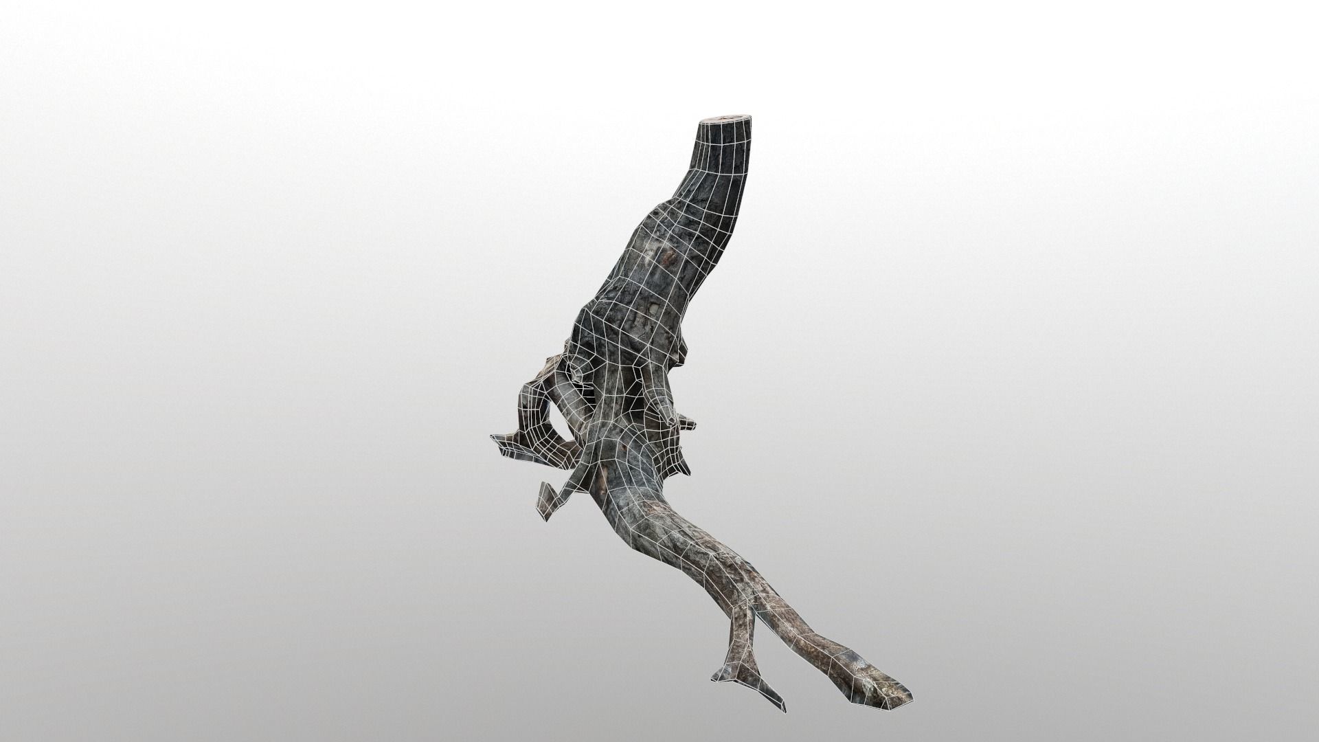 Low poly Tree Low-poly 3D model_8