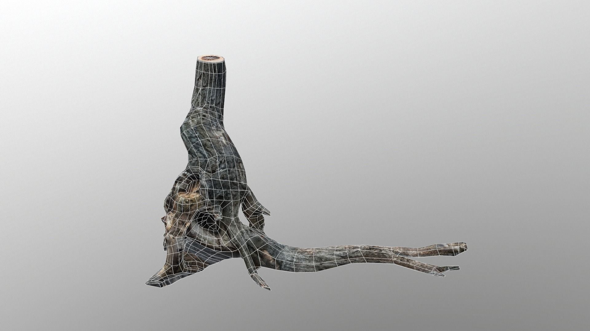 Low poly Tree Low-poly 3D model_5