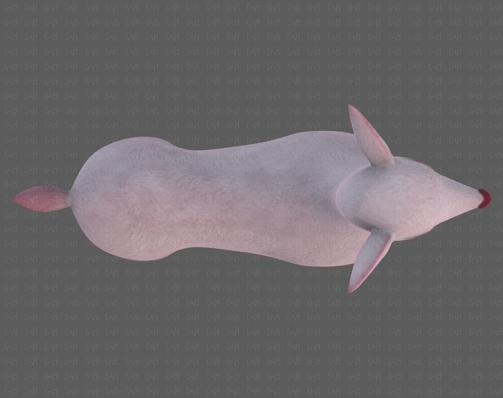 Deer V03 Low-poly 3D model_33