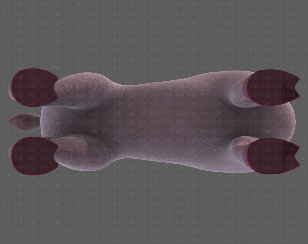 Deer V03 Low-poly 3D model_37