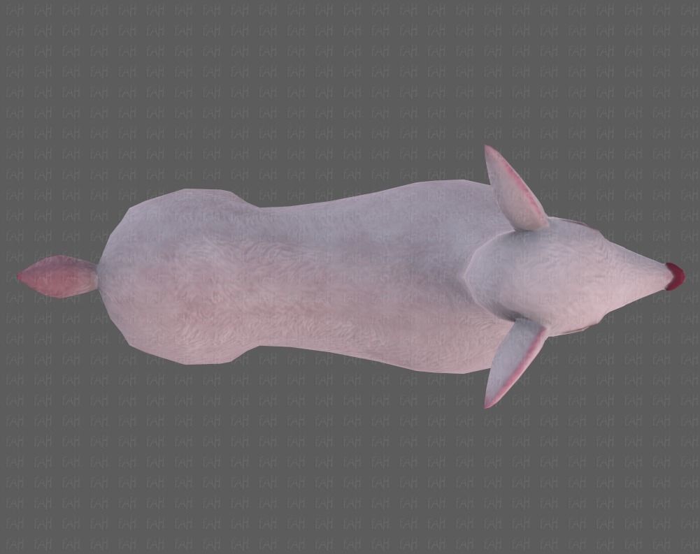 Deer V03 Low-poly 3D model_35