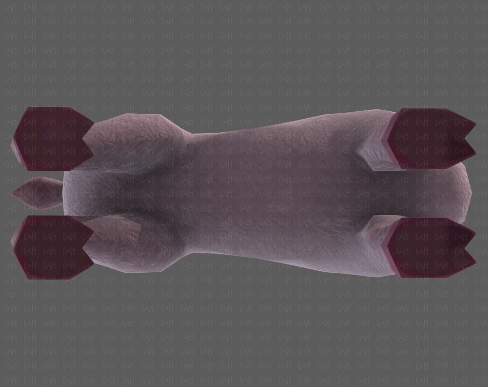 Deer V03 Low-poly 3D model_39