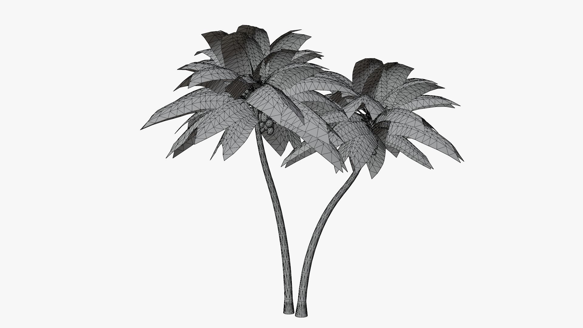 Coconut Palm v5 Low-poly 3D model_2