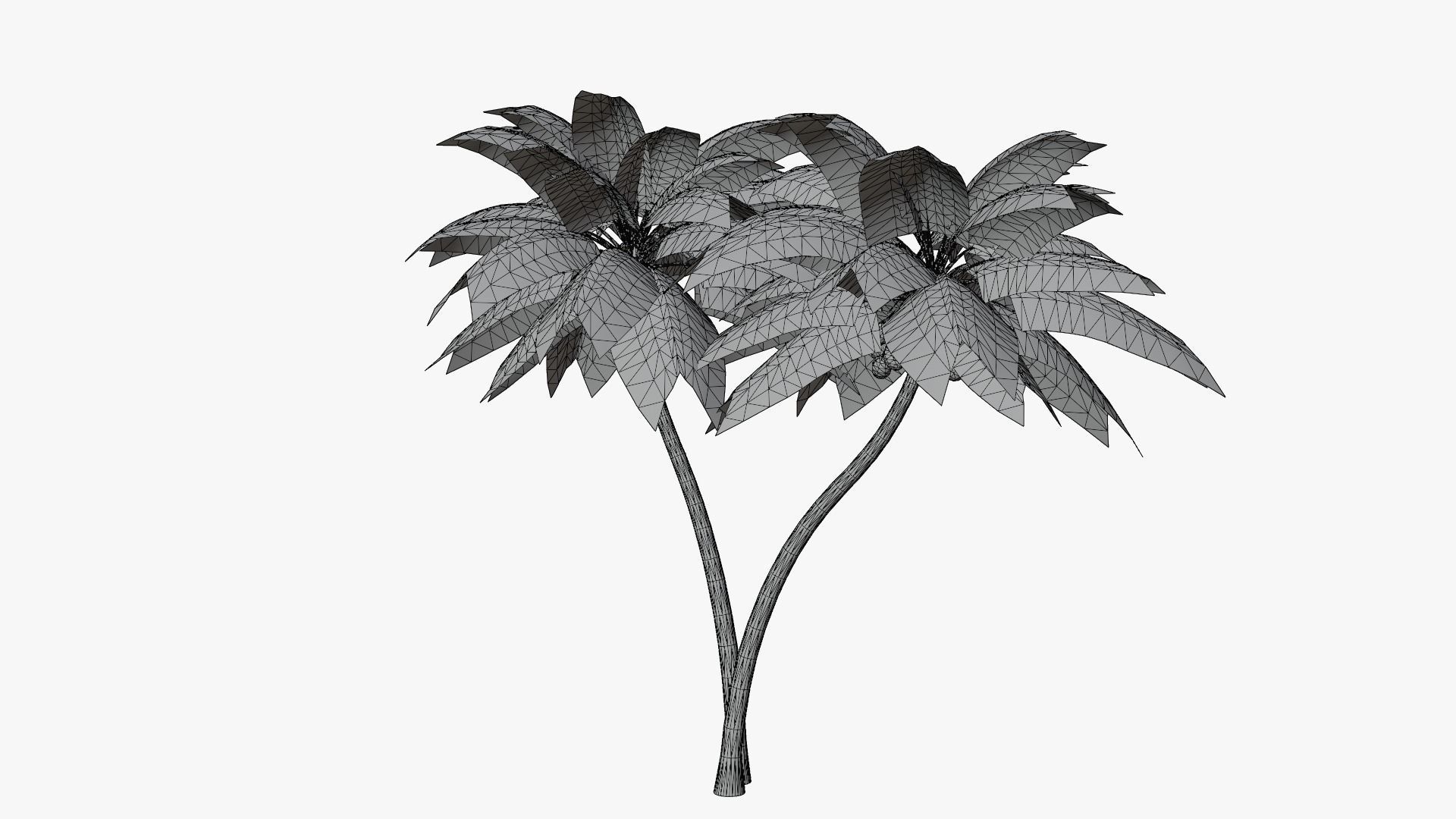 Coconut Palm v5 Low-poly 3D model_17