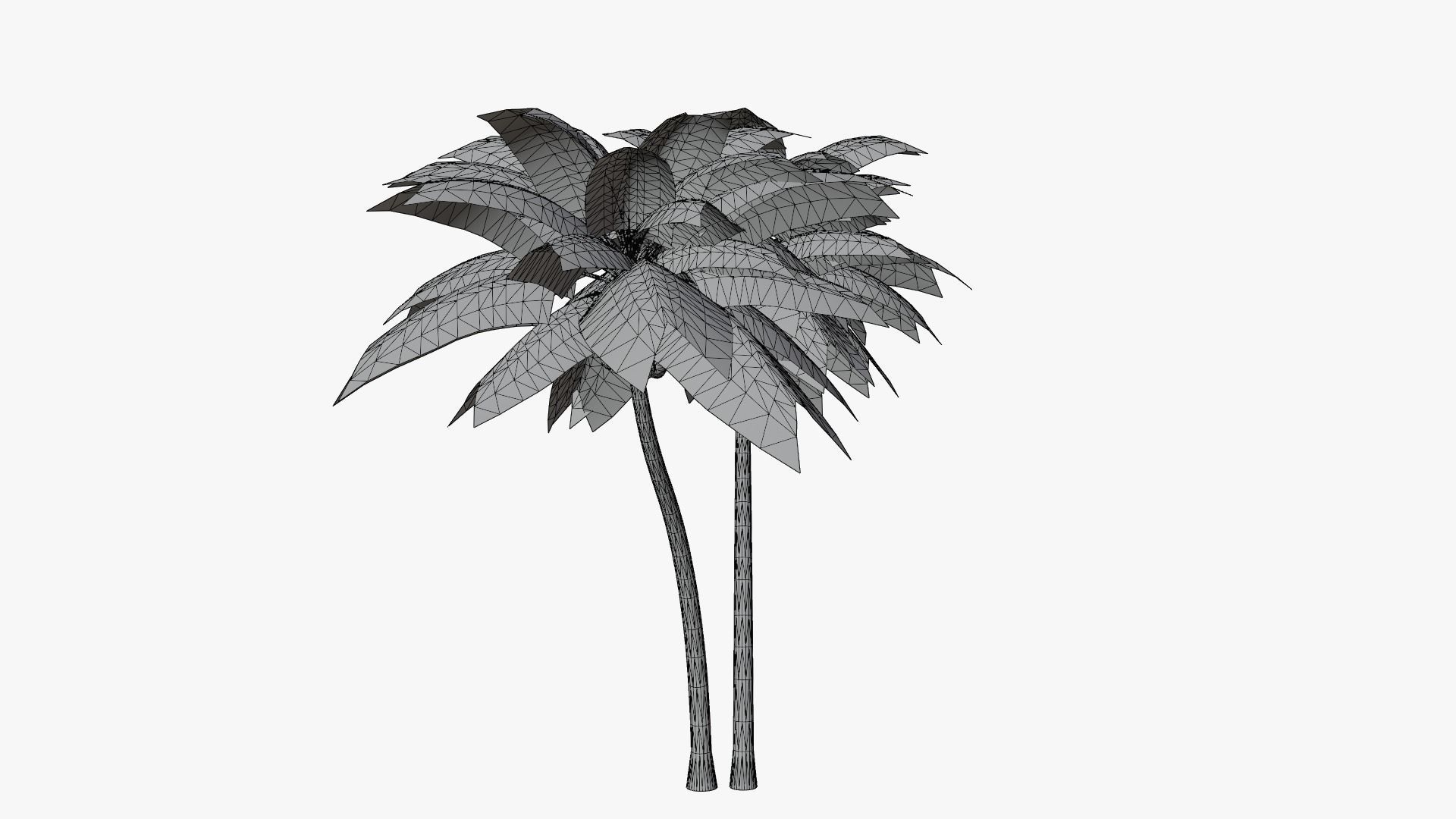 Coconut Palm v5 Low-poly 3D model_14